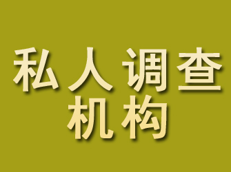 和政私人调查机构